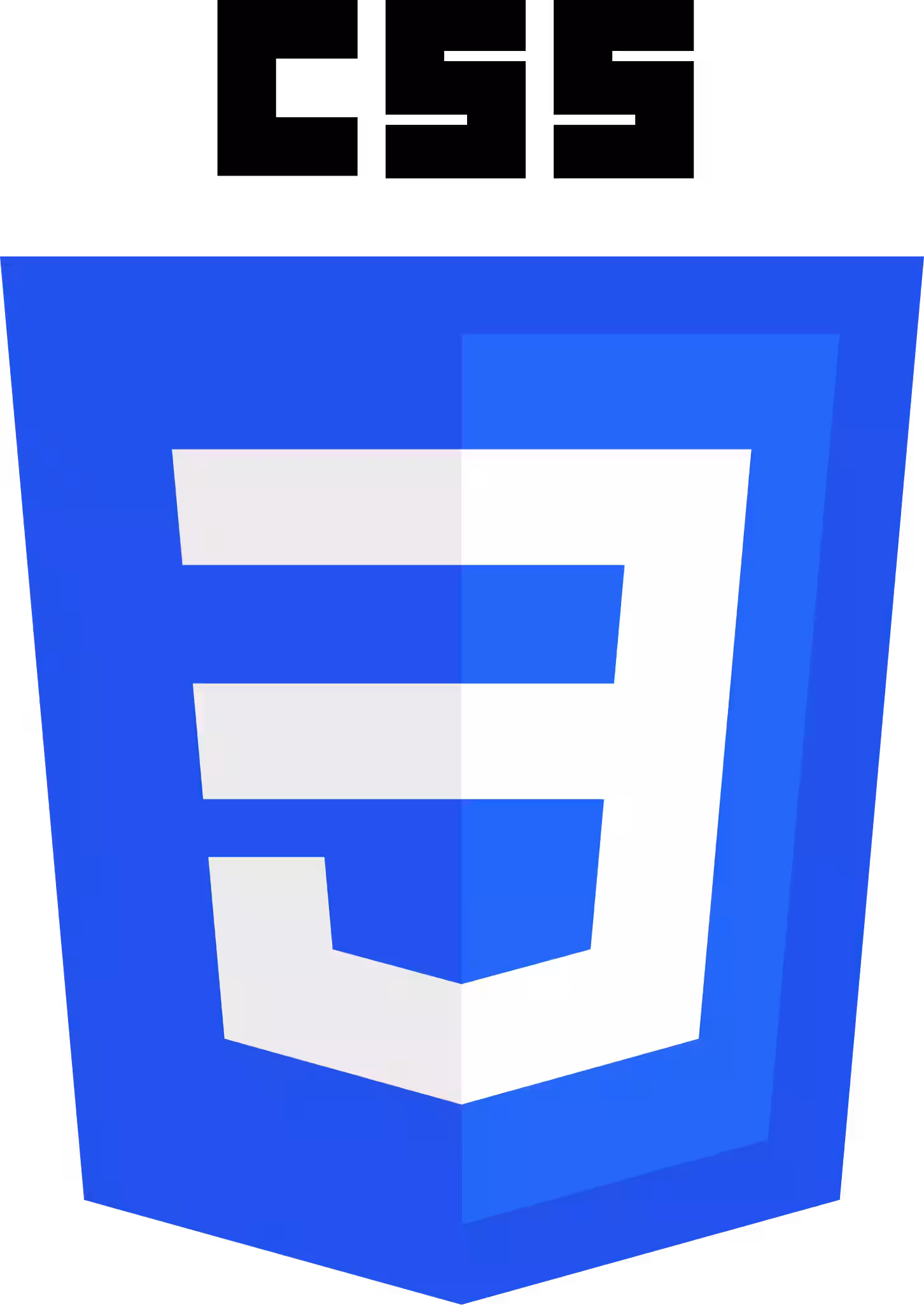 CSS3 logo and wordmark.svg logo