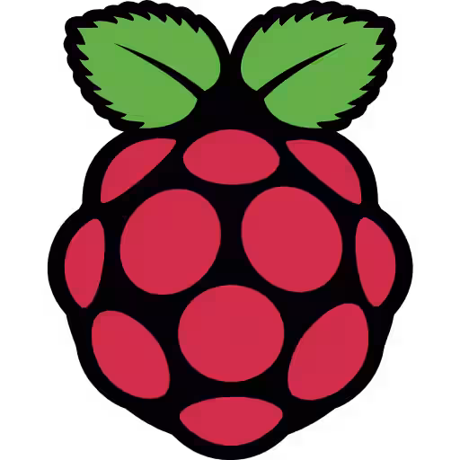 raspberrry pi logo logo